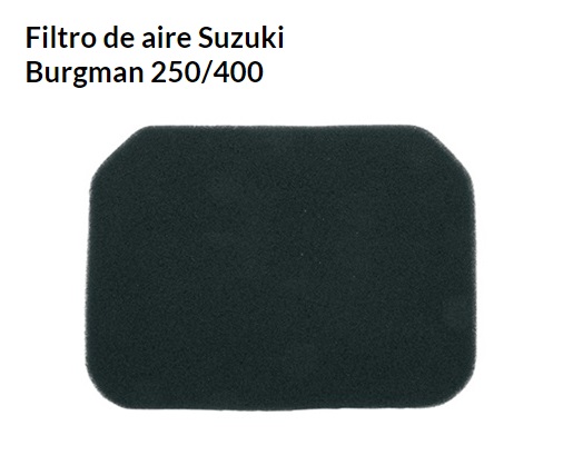 FILTRO AIRE TECNIUM SUZUKI BURGMAN 250