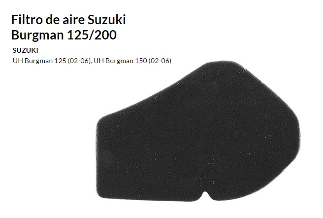 FILTRO AIRE TECNIUM SUZUKI BURGMAN 125 06