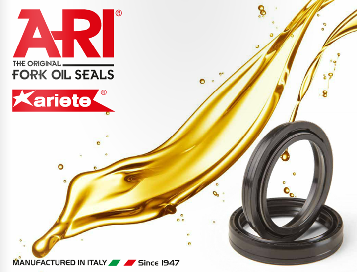 RETENES HORQUILLA MOTO ARIETE 35 X 48,5/53 X 5,