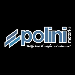 POLINI MOTORI S.P.A.